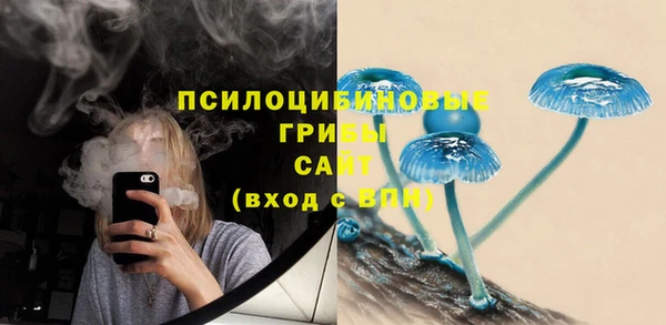 дживик Белоозёрский