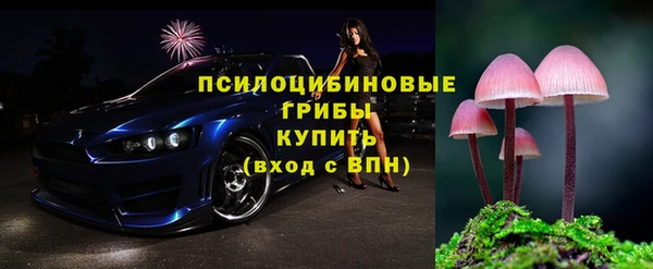 дживик Белоозёрский