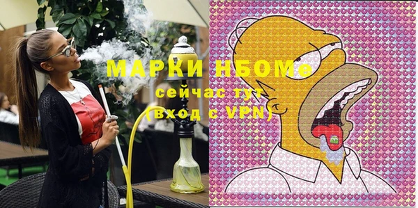 шишки Аркадак