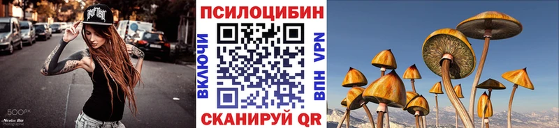 Галлюциногенные грибы Psilocybe  магазин продажи наркотиков  гидра вход  Пятигорск 